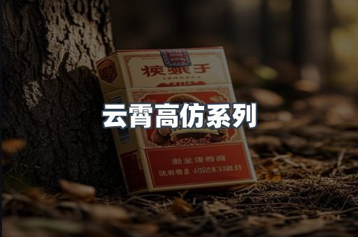 云霄高仿系列